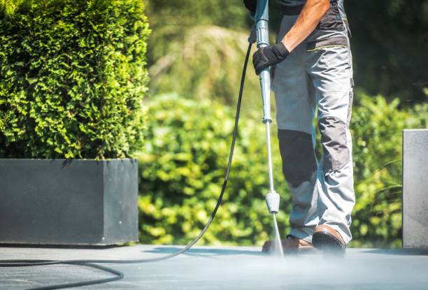 Best Roof Washing  in Diberville, MS